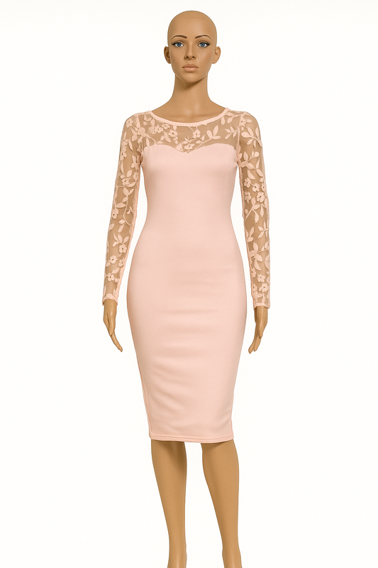 Blush Pink Lace Sleeve Bodycon Dress