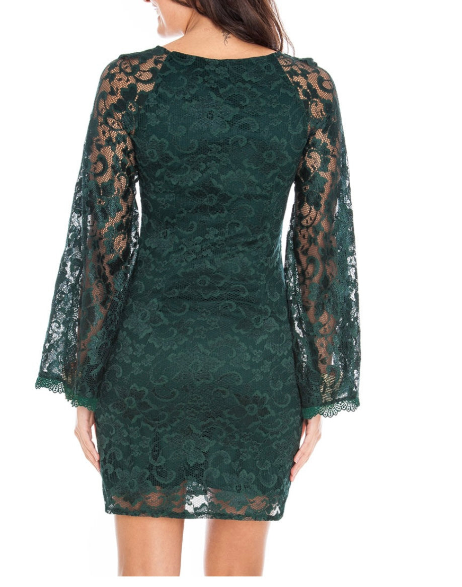 CAPLE SLEEVE LACE DRESS